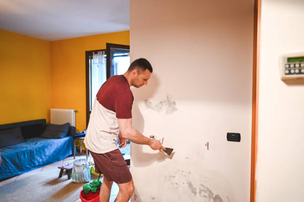 Best Mold Removal Specialists  in Lake Wynonah, PA